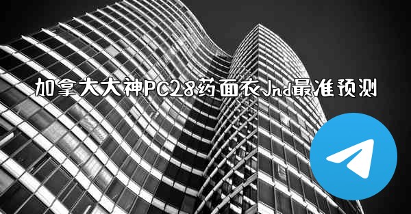 加拿大大神PC28药面衣Jnd最准预测