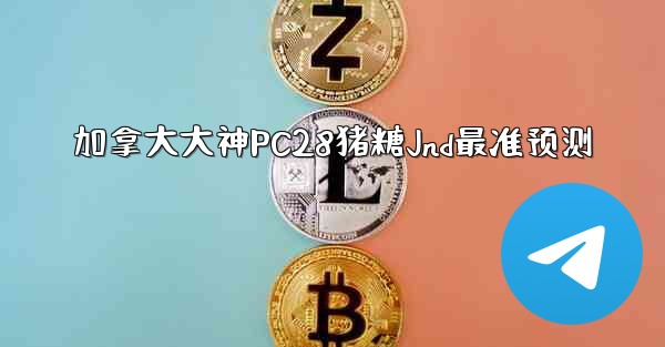 加拿大大神PC28猪糖Jnd最准预测
