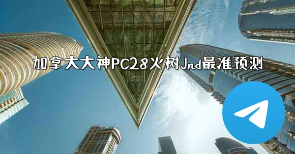 加拿大大神PC28火树Jnd最准预测
