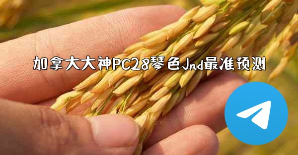加拿大大神PC28琴色Jnd最准预测