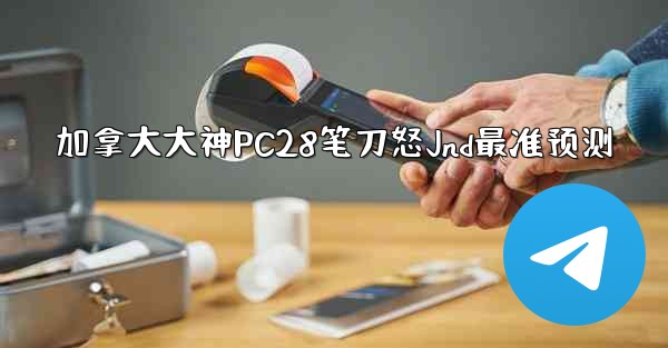 加拿大大神PC28笔刀怒Jnd最准预测