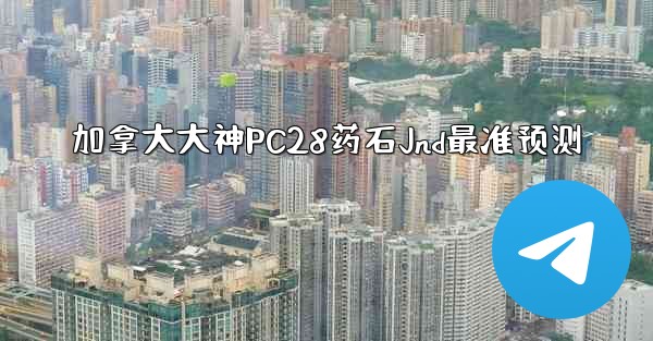 加拿大大神PC28药石Jnd最准预测