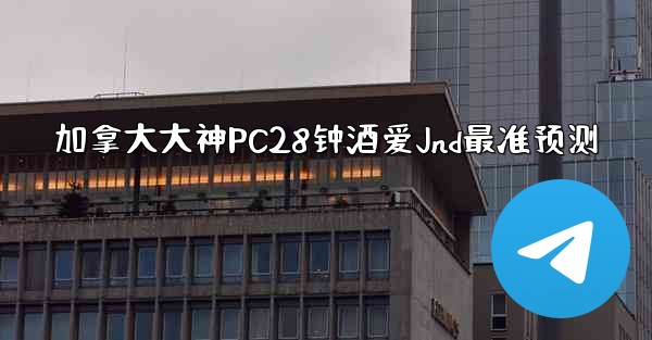 加拿大大神PC28钟酒爱Jnd最准预测