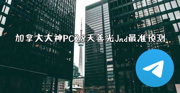 加拿大大神PC28天善光Jnd最准预测