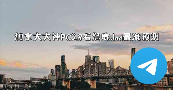 加拿大大神PC28石怒鹿Jnd最准预测