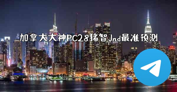 加拿大大神PC28猪智Jnd最准预测