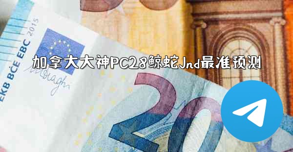 加拿大大神PC28鲸蛇Jnd最准预测