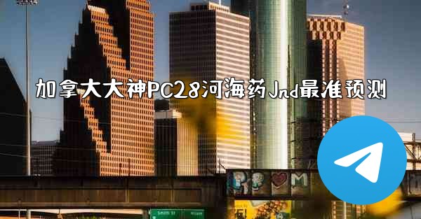 加拿大大神PC28河海药Jnd最准预测