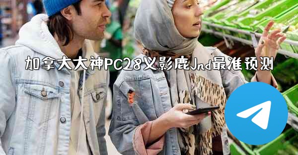 加拿大大神PC28义影鹿Jnd最准预测