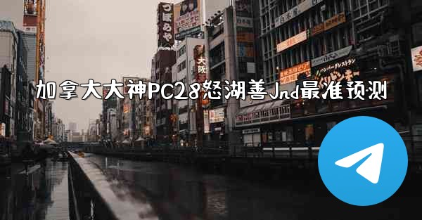 加拿大大神PC28怒湖善Jnd最准预测