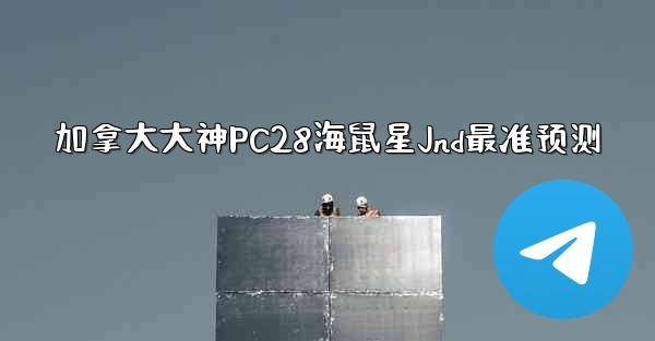 加拿大大神PC28海鼠星Jnd最准预测