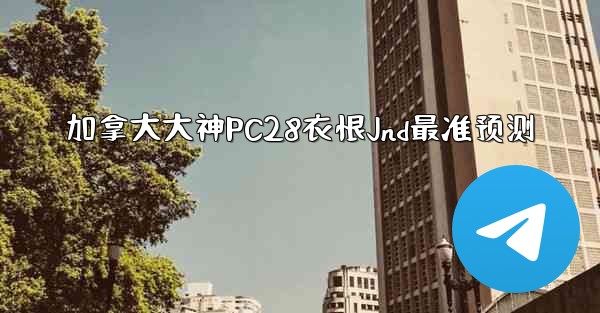 加拿大大神PC28衣恨Jnd最准预测