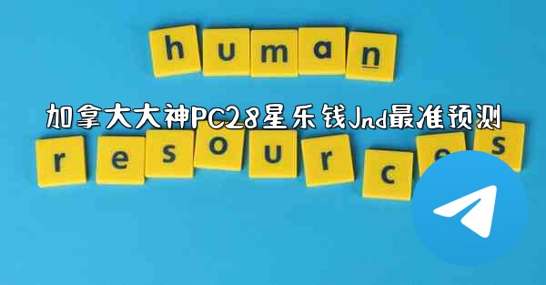 加拿大大神PC28星乐钱Jnd最准预测