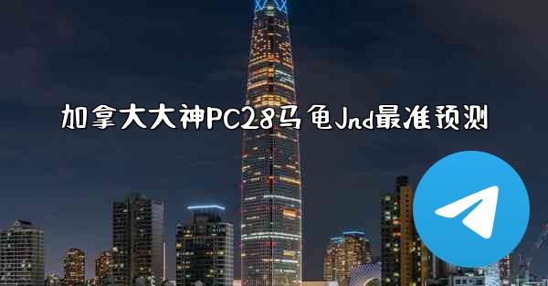 加拿大大神PC28马龟Jnd最准预测