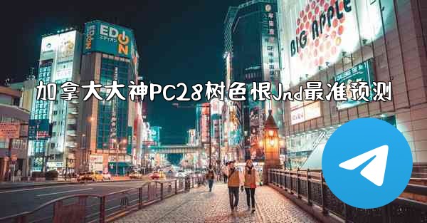 加拿大大神PC28树色恨Jnd最准预测