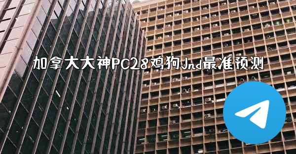 加拿大大神PC28鸡狗Jnd最准预测