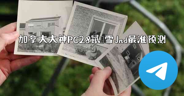 加拿大大神PC28鼠鸭雪Jnd最准预测