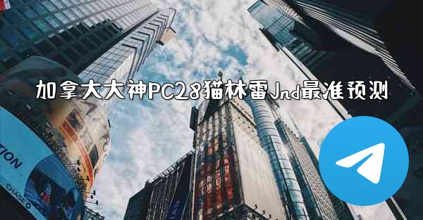 加拿大大神PC28猫林雷Jnd最准预测