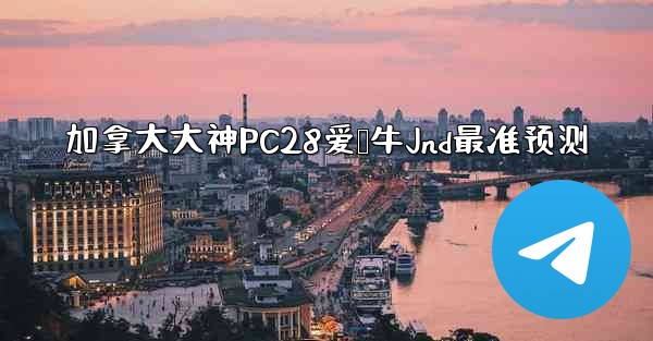 加拿大大神PC28爱鹅牛Jnd最准预测
