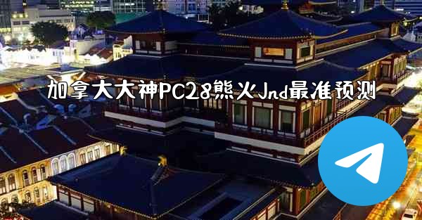 加拿大大神PC28熊火Jnd最准预测