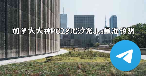 加拿大大神PC28地沙光Jnd最准预测