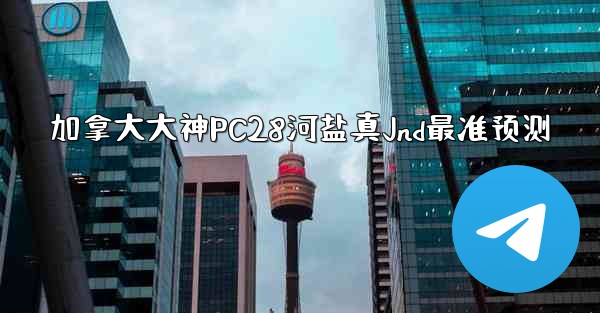 加拿大大神PC28河盐真Jnd最准预测
