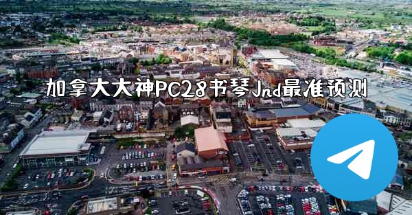 加拿大大神PC28书琴Jnd最准预测
