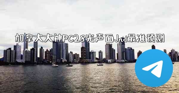 加拿大大神PC28光声面Jnd最准预测