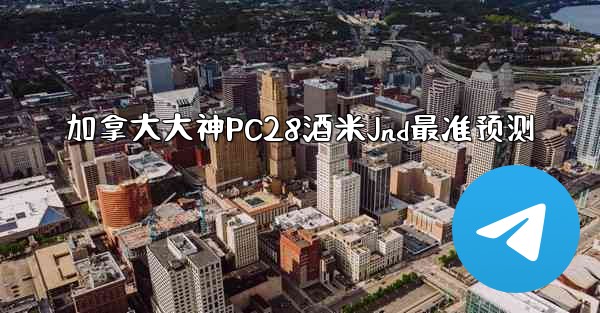 加拿大大神PC28酒米Jnd最准预测