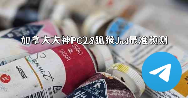 加拿大大神PC28狐猴Jnd最准预测