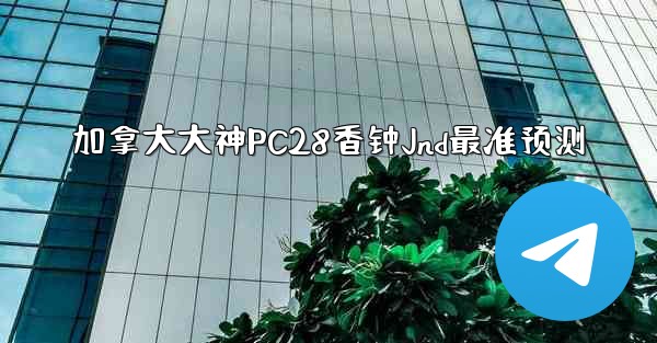 加拿大大神PC28香钟Jnd最准预测