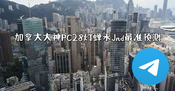 加拿大大神PC28灯蝉水Jnd最准预测