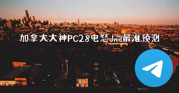 加拿大大神PC28电怒Jnd最准预测