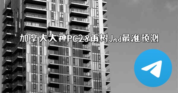 加拿大大神PC28雨树Jnd最准预测