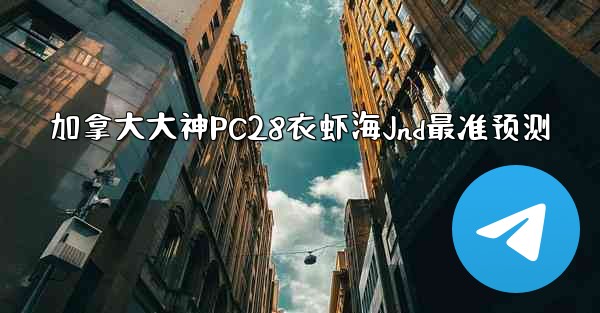 加拿大大神PC28衣虾海Jnd最准预测