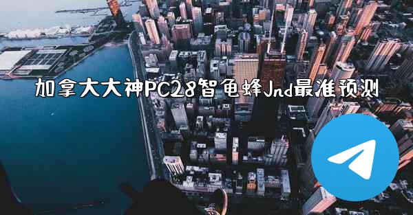 加拿大大神PC28智龟蜂Jnd最准预测