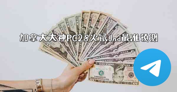 加拿大大神PC28火鼠Jnd最准预测