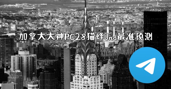 加拿大大神PC28猫蜂Jnd最准预测