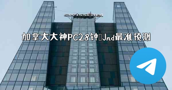 加拿大大神PC28钟鹅Jnd最准预测