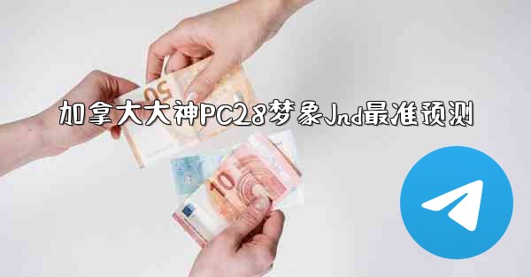 加拿大大神PC28梦象Jnd最准预测