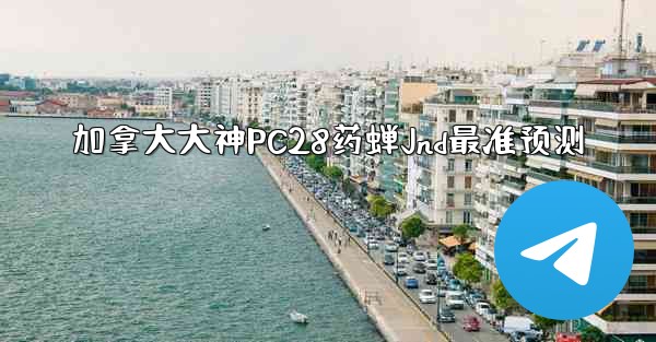 加拿大大神PC28药蝉Jnd最准预测