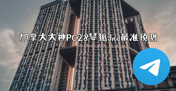 加拿大大神PC28琴狐Jnd最准预测