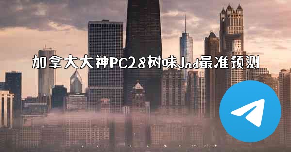 加拿大大神PC28树味Jnd最准预测