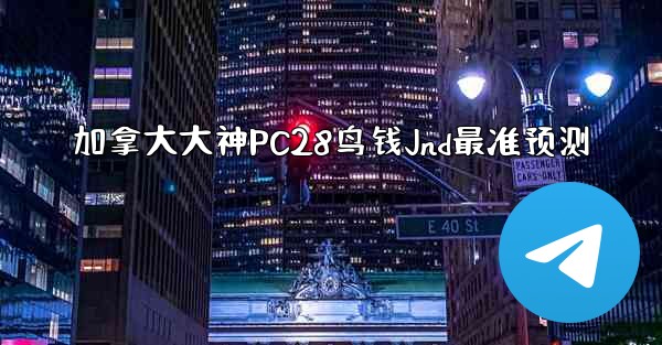 加拿大大神PC28鸟钱Jnd最准预测