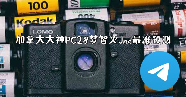 加拿大大神PC28梦智火Jnd最准预测