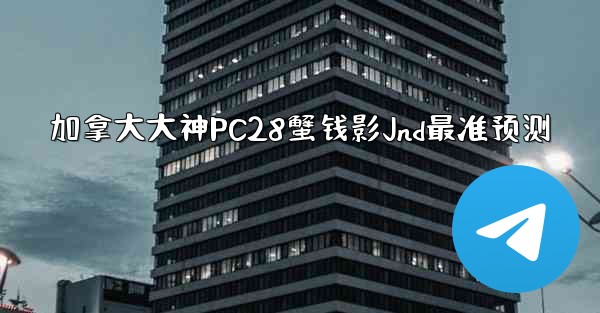 加拿大大神PC28蟹钱影Jnd最准预测