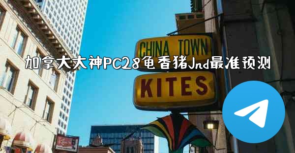 加拿大大神PC28龟香猪Jnd最准预测