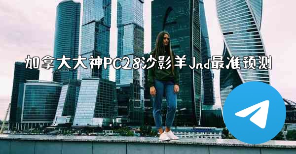 加拿大大神PC28沙影羊Jnd最准预测