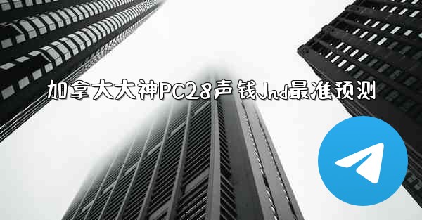 加拿大大神PC28声钱Jnd最准预测