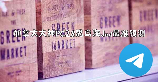 加拿大大神PC28思鸟海Jnd最准预测